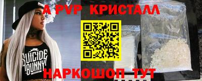 сатива Кингисепп