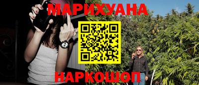 сатива Кингисепп
