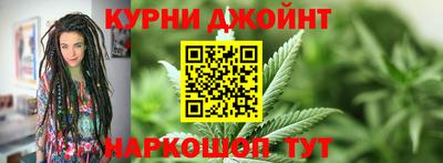 сатива Кингисепп