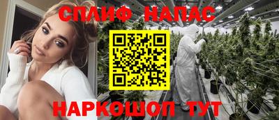 сатива Кингисепп