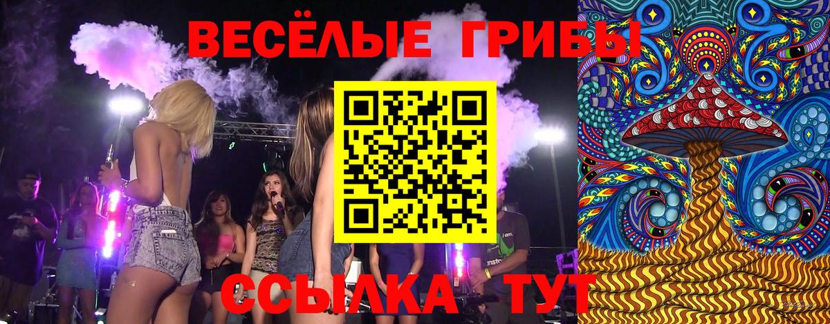 Псилоцибиновые грибы прущие грибы Тобольск