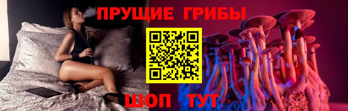 где можно купить   Вход с VPN  Галлюциногенные грибы MAGIC MUSHROOMS  Тобольск  Галлюциногенные грибы мухоморы 